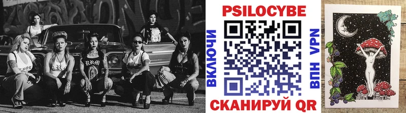 Галлюциногенные грибы Psilocybe  как найти закладки  Старица 